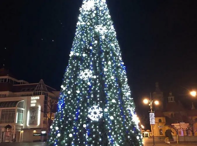 Blue Boat * سوبوت